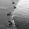 Take nothing leave only your footprints.